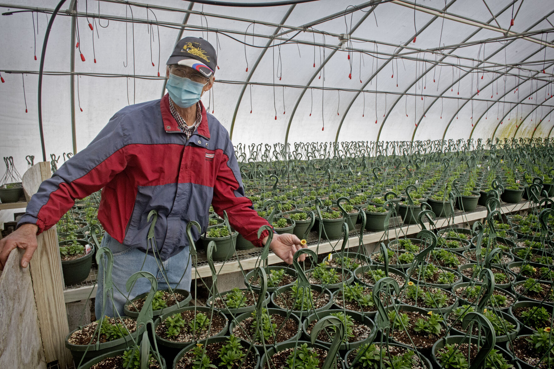 Greenhouse at Frysville Farms